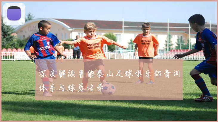 深度解读鲁能泰山足球俱乐部青训体系与球员培养